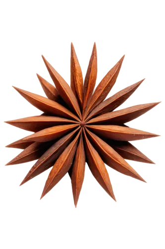 star anise,salsify,astropecten,star anemone,terracotta,netburst,generative,fireworks background,black salsify,garrisoned,sunburst background,sea urchin,moravian star,apophysis,star abstract,echinoderm,wood daisy background,echinodermata,copperweld,garridos,Photography,Fashion Photography,Fashion Photography 19