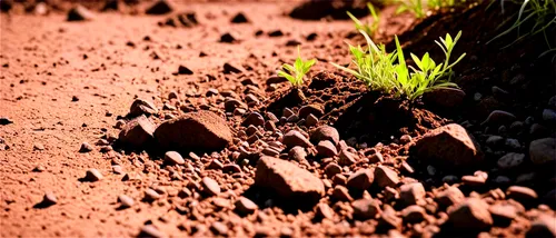 Brown soil, moist texture, rough surface, small rocks, tiny weeds, shallow depth of field, warm color tone, natural light, 3/4 composition, close-up shot, realistic details, high definition.,soil eros