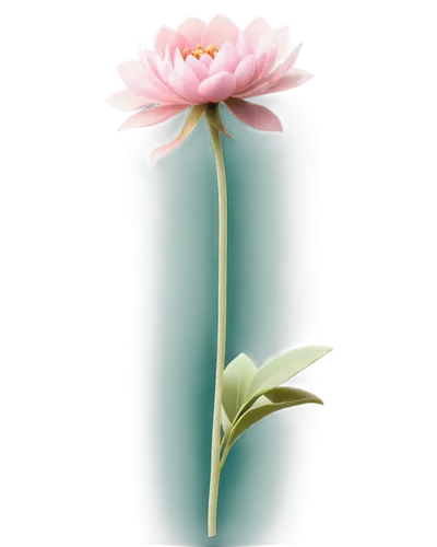 flowers png,gerbera,flower illustration,flower of water-lily,flower illustrative,gerbera flower,liliaceae,single flower,artificial flower,zephyranthes,bicolored flower,small flower,flower background,lotus ffflower,cartoon flower,water lily flower,lily flower,decorative flower,flowerdew,flower,Illustration,Abstract Fantasy,Abstract Fantasy 03