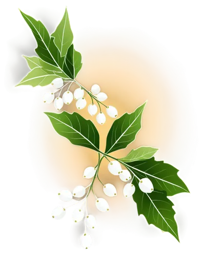 spring leaf background,leaf background,muguet,aromatic plant,birch tree background,flourishing tree,birch tree illustration,toxicodendron,wreath vector,tree white,parthenium,trifoliata,camphor,argan tree,wood daisy background,star jasmine,small tree,myrtus,smilax,nature background,Illustration,Black and White,Black and White 04