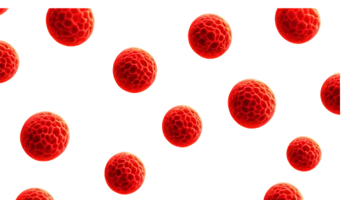 erythrocytes,keratinocytes,leukocytes,cryptosporidiosis,spherules,lipoprotein,liposomes,apolipoprotein,lipoproteins,microvesicles,microcapsules,stemcells,micrococcus,cells,vesicles,hypercholesterolemia,cell structure,enterocytes,gametocytes,megakaryocytes,Conceptual Art,Daily,Daily 20