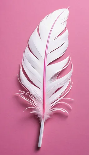 Write a suspenseful story where the clue is a white-pink feather.,pink quill,dribbble,dribbble icon,dribbble logo,hair comb,bird feather,swan feather,iced-lolly,feather carnation,feather,paper art,fea