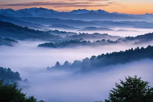 foggy landscape,foggy mountain,huangshan mountains,sea of clouds,sea of fog,fog banks,japanese mountains,saxon switzerland,wave of fog,morning mist,mountainous landscape,carpathians,morning fog,berchtesgaden national park,foggy forest,northern black forest,the landscape of the mountains,japan landscape,blue ridge mountains,north american fog,Illustration,Paper based,Paper Based 10