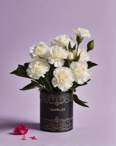 camellias,camellia,camellia blossom,peony bouquet,flower honey,corymb rose,japanese camellia,camelliers,chinese peony,artificial flowers,still life photography,gardenia,potted flowers,common peony,crown carnation,scent of jasmine,funeral urns,fragrant snowball,flower wall en,bach flower therapy,Photography,Fashion Photography,Fashion Photography 23