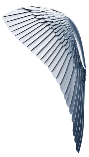 angel wing,angel wings,bird wing,winged,bird wings,winged heart,wing,gradient mesh,hindwings,glass wings,hindwing,airfoil,bird feather,wings,uniphoenix,feather,seraph,dove of peace,wing blue color,angelnote,Photography,Black and white photography,Black and White Photography 01