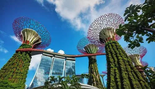 gardens by the bay,garden by the bay,singapore landmark,singapore,singapura,marina bay sands,sathorn,cyberjaya,singaporean,klcc,skypark,capitaland,sentosa,garden sculpture,futuristic architecture,kuala lumpur,universal studios singapore,biopiracy,skylstad,asian architecture,Photography,Documentary Photography,Documentary Photography 30