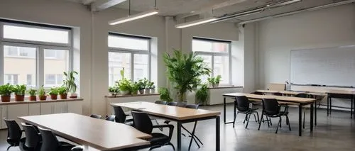 class room,staffroom,classroom,school design,classrooms,schoolroom,thomasschule,lecture room,desks,skole,schoolrooms,akademie,study room,hauptschule,conference room,grundschule,meeting room,gesamtschule,potted plants,kunstgewerbeschule,Conceptual Art,Daily,Daily 11