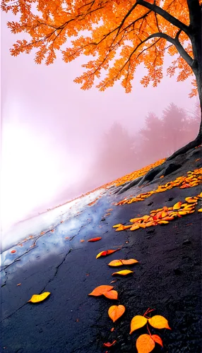 autumn background,autumn scenery,fallen leaves,autumn leaves,autumn frame,autumn landscape,autumn tree,autumn walk,the autumn,fall landscape,fall leaves,autumn,autumn trees,one autumn afternoon,autumn morning,autumn day,late autumn,autumn sky,autumnal leaves,light of autumn,Photography,Documentary Photography,Documentary Photography 25