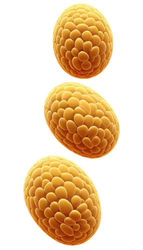 mitochondrion,golgi,mitochondrial,spherules,thylakoids,liposomes,microvilli,mitochondria,ovules,apolipoprotein,microkernels,softgel capsules,pollens,phytoestrogens,organelle,laddu,lipoproteins,cheerios,ellipsoids,aureus,Unique,3D,Low Poly