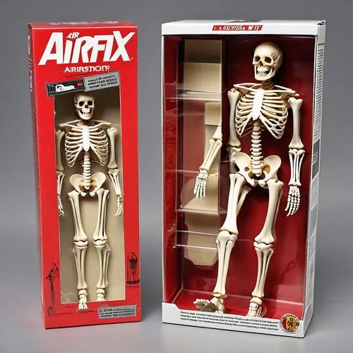 vintage skeleton,action figure,actionfigure,artificial joint,collectible action figures,x-ray,skeletal,3d figure,human skeleton,a wax dummy,model kit,skeletons,skeletal structure,cigarette box,xray,articulated manikin,day of the dead skeleton,wood skeleton,funeral urns,skeleton,Photography,General,Realistic