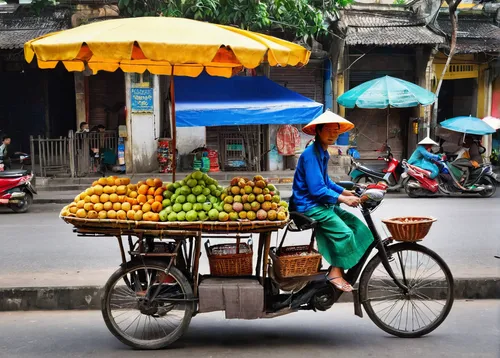 hanoi,hoian,ha noi,fruit car,rickshaw,hoi an,blue pushcart,fruit stand,greengrocer,vietnam,fruit market,siem reap,vietnam's,vietnam vnd,ho chi minh,donkey cart,saigon,cart of apples,viet nam,flower cart,Art,Classical Oil Painting,Classical Oil Painting 08