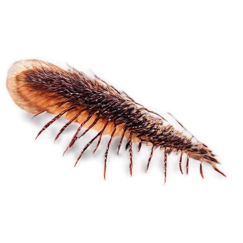 platyhelminthes,polychaete,millipede,stereocilia,micromollusk,platysteiridae,anomalocaris,elegans,rotifer,flagella,micropholis,cnidaria,cambrian,polychaetes,varroa,cnidarian,wormlike,microhylid,peacock feather,seedpod,Illustration,Realistic Fantasy,Realistic Fantasy 09