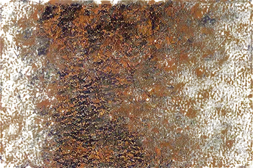 rusty door,brown mold,tree texture,biofouling,tree bark,oxidize,amphibole,oxidation,rusty chain,bronze wall,chaga,seamless texture,corten steel,anthracnose,pavement,palimpsest,molten metal,oxidization,sackcloth textured background,sedimentation,Illustration,Retro,Retro 15