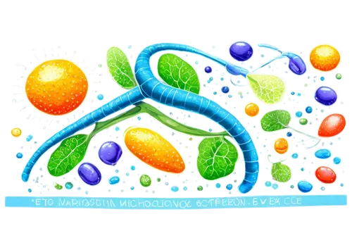 Microscopic scene, cellular structure, anaerobic respiration process, mitochondria, glycolysis, fermentation, glucose molecule, ATP production, electron transport chain, citric acid cycle, biochemistr