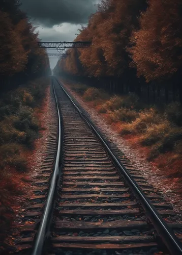 railway track,railroad track,train track,railroad line,railway tracks,railroad,rail track,rail road,railtrack,railway line,railway rails,railroad tracks,railway,wooden track,rail way,railway lines,train tracks,tracks,autumn scenery,train way,Conceptual Art,Fantasy,Fantasy 01