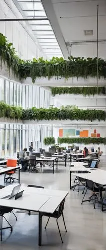 Modern architectural design school, Illinois, USA, glass and steel building, sleek lines, minimalist interior, natural light pouring through floor-to-ceiling windows, rows of computers and drafting ta