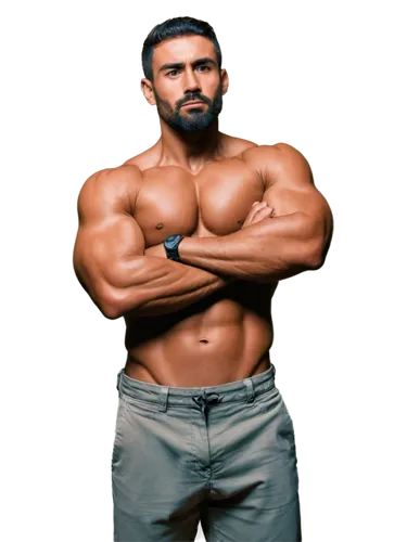 ranveer,jinder,kushti,daivari,vijender,madhavan,nanjundaswamy,purab,minhaj,hasan,gautam,rudra,sreenivas,jadeja,karan,aulakh,zanjeer,pec,dhruva,khali,Illustration,Japanese style,Japanese Style 10