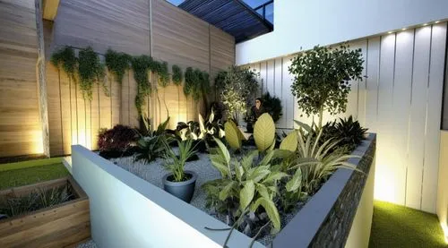 garden design sydney,landscape design sydney,landscape designers sydney,balcony garden,roof garden,roof terrace,3d rendering,grass roof,climbing garden,bamboo plants,cubic house,start garden,artificial grass,eco-construction,interior modern design,container plant,hanging plants,smart house,eco hotel,render,Photography,General,Natural