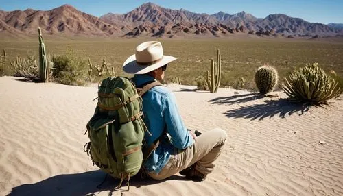 Cactus, desert tour, sunny day, clear blue sky, rocky terrain, cactus fruits, spines, detailed textures, worn hiking boots, backpack, sunglasses, hat, relaxed posture, arms crossed, leaning against ca