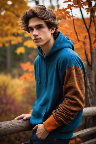 autumn background,male model,autumn icon,boy,teen,fall,felix,pakistani boy,sweatshirt,autumn photo session,lukas 2,in the fall,boy model,autumn theme,wood background,lumberjack,fall colors,hoodie,anime boy,young model,Illustration,Vector,Vector 15