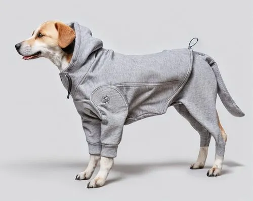 dog coat,beagle,herd protection dog,coonhound,schnaufer,dog clothes