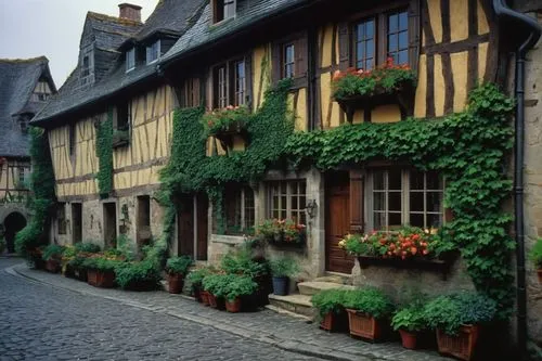 Normandy architecture style, half-timbered house, stone walls, steeply pitched roofs, multi-paned windows, ornate wooden doors, flower-filled window boxes, lush greenery, ivy-covered facades, rolling 