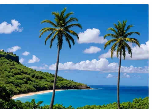 Puerto Rico landscape, El Yunque rainforest, La Fortaleza fortress, colorful Old San Juan buildings, palm trees, Flamenco Beach, turquoise ocean, sailboats, sunny day, clear blue sky, dramatic clouds,