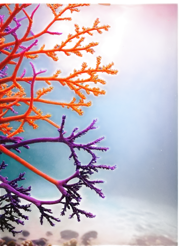 soft coral,feather coral,bubblegum coral,soft corals,gorgonian,deep coral,underwater background,underwater landscape,corals,paphlagonian,colorful tree of life,coral fish,coral reef,fractals art,hydroids,coral reefs,fractal environment,hard corals,coral,desert coral,Illustration,Children,Children 05