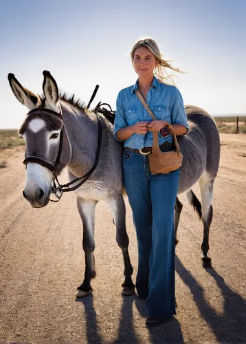 zonkey,horse herder,donkey cart,draft horse,donkey of the cotentin,horse trainer,working animal,horsemanship,donkeys,electric donkey,mule,horse tack,nomadic people,horse harness,man and horses,half donkey,equines,horse grooming,ox cart,goatherd,Photography,Fashion Photography,Fashion Photography 13