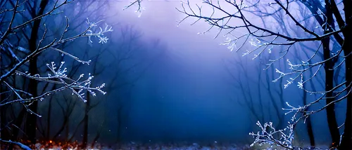 winter forest,winter background,foggy forest,haunted forest,forest background,winter night,hoarfrost,forest dark,christmas snowy background,night snow,nature background,snowflake background,blue snowflake,winter landscape,winter dream,free background,midnight snow,black forest,enchanted forest,winter magic,Illustration,Paper based,Paper Based 09