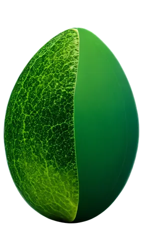 chloropaschia,chloroplasts,chloroplast,ellipsoid,stomata,chloro,green apple,chlorophyll,patrol,chlorophyta,green kiwi,green,chlorotic,chlorosis,photosynthetic,chloroprene,nephrite,xylem,coconut leaf,verde,Photography,Documentary Photography,Documentary Photography 30