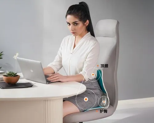 woman in business attire working on a laptop,deskjet,new concept arms chair,office chair,telepresence,smarttoaster,tailor seat