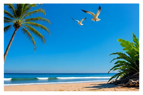 Surfing background, ocean waves, sunny day, blue sky, seagulls flying overhead, palm trees along beach, sandy shore, driftwood, surfboard lying on sand, tropical plants, warm sunlight, 3/4 composition