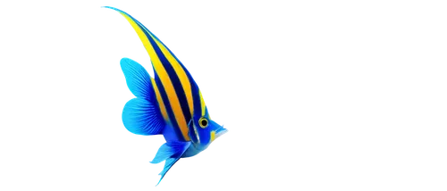 mahimahi,blue stripe fish,surgeonfish,dartfish,hypselodoris,blue fish,sailing blue yellow,pallet surgeonfish,yellowfin,feather on water,cychropsis,needlefish,nassr,acanthurus,yellowtail,threadfin,billfish,gradient mesh,sailfish,hypersonic,Conceptual Art,Sci-Fi,Sci-Fi 20