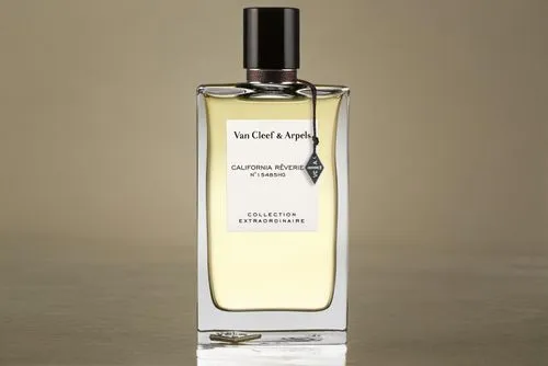 Arrière-plan description. Dans cette fragrance, le Jasmin révèle une odeur florale, riche, élégante et illumine par son éclat tels les joyaux d'une parure Van Cleef & Arpels. D'emblée, une fraîcheur f