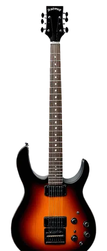 guitarra,electric guitar,framus,epiphone,guitar,fgn,hofner,concert guitar,guiterrez,charvel,archtop,freidrich,knaggs,schecter,bouzouki,patitucci,dlx,silvertone,duesenberg,warmoth,Illustration,Vector,Vector 15