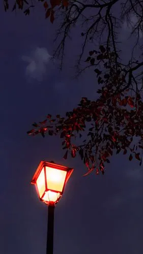 streetlamp,street lamp,streetlight,illuminated lantern,street lamps,lamp post,outdoor street light,lamppost,street light,iron street lamp,traffic lamp,street lights,lantern,light post,night light,nightlight,light posts,gas lamp,japanese lantern,dark park