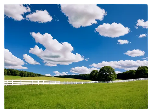 pasture fence,blue sky and clouds,blue sky and white clouds,landscape background,pastureland,blue sky clouds,pastures,virtual landscape,meadow landscape,skydrive,cloudlike,fair weather clouds,ipix,pasture,farm background,nature background,bucolic,cloudscape,windows wallpaper,salatin,Photography,Fashion Photography,Fashion Photography 23