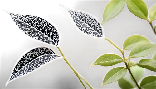 leaf structure,lotus leaf,magnolia leaf,fan leaf,leafcutter,leaf veins,leaf pattern,lotus leaves,leaf background,leaf,tropical leaf,water lily leaf,glitter leaf,jungle leaf,leaf fern,trumpet leaf,leaves frame,skeleton leaf,leaf branch,smilax,Illustration,Black and White,Black and White 11