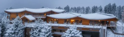 an aerial view of the lodge surrounded by evergreen trees covered in snow,winter house,snowhotel,snow house,snow roof,snow shelter,jahorina,snowed in,house in mountains,the cabin in the mountains,hous