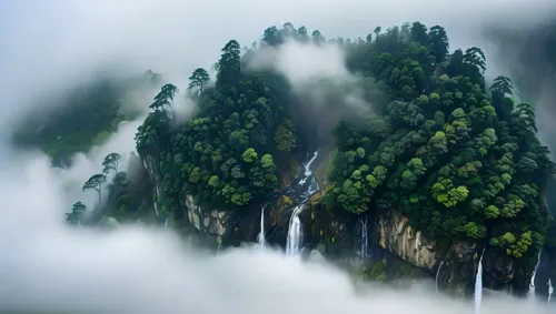 foggy forest,coniferous forest,huangshan mountains,foggy landscape,zhangjiajie,cypresses,Illustration,Japanese style,Japanese Style 05