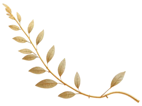 laurel wreath,gold foil laurel,golden leaf,leaf branch,olive branch,gold leaves,leaf fern,walnut leaf,fern leaf,spikelets,dried leaf,wreath vector,trumpet leaf,dried leaves,dry leaf,leaf background,golden wreath,leaf drawing,custody leaf,dried plant,Illustration,Realistic Fantasy,Realistic Fantasy 44