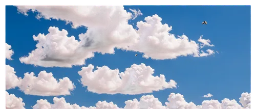 cloud image,cloud shape frame,sky,skydrive,cloudmont,bird in the sky,blue sky clouds,skydiver,sky clouds,blue sky and clouds,sky butterfly,cloudbase,parachutist,cloud play,parachutists,paragliders duo blue sky cloudy,single cloud,clouds - sky,cloud shape,skyboxes,Conceptual Art,Daily,Daily 04