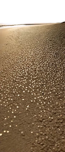 golden sands,sand ripples,sand texture,sand seamless,sand waves,sands,footprints in the sand,sandplain,sand paths,seashells,dune sea,salt desert,sand pattern,sand road,sea shells,sand,shell seekers,sand coast,dark beach,sandplains,Illustration,Children,Children 03