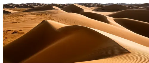 dune landscape,admer dune,shifting dunes,sand dunes,dunes,crescent dunes,the sand dunes,libyan desert,sand waves,moving dunes,sand dune,dune sea,sand ripples,masdar,dune,pink sand dunes,san dunes,sandworm,corrugations,liwa,Art,Classical Oil Painting,Classical Oil Painting 28