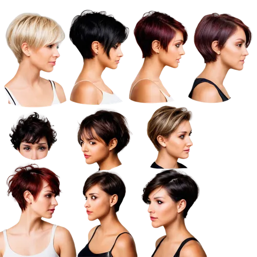 asymmetric cut,artificial hair integrations,hairstyles,pixie cut,pixie-bob,colorpoint shorthair,trend color,women silhouettes,crown silhouettes,hair shear,bob cut,management of hair loss,icon set,artist color,mohawk hairstyle,hair coloring,cosmetology,layered hair,cuts,mannequin silhouettes,Illustration,Vector,Vector 03