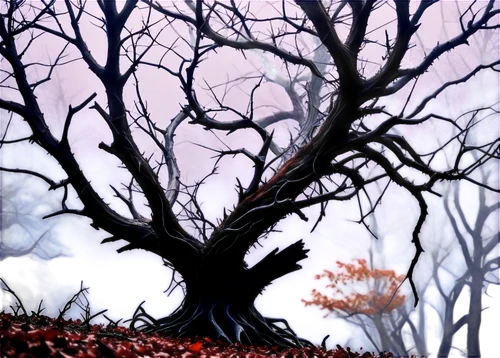 halloween bare trees,halloween background,autumn tree,leafless,autumn background,creepy tree,haunted forest,autumn frame,halloween frame,halloween scene,dead branches,halloween wallpaper,autumn forest,autumn trees,halloween silhouettes,derivable,dead leaves,red tree,deciduous tree,the trees in the fall,Conceptual Art,Sci-Fi,Sci-Fi 04