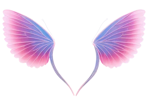 butterfly vector,butterfly clip art,butterfly background,pink butterfly,cupido (butterfly),blue butterfly background,flutter,limenitis,hesperia (butterfly),winged heart,butterfly wings,butterflay,aurora butterfly,butterfly,ulysses butterfly,sky butterfly,c butterfly,butterfly floral,passion butterfly,breast cancer ribbon,Illustration,Realistic Fantasy,Realistic Fantasy 31