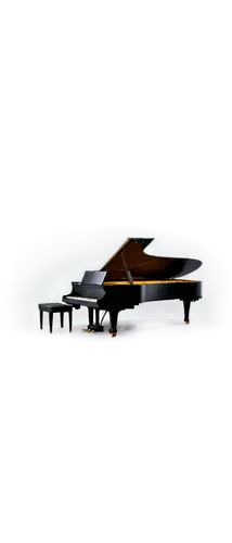 grand piano,bosendorfer,fortepiano,pianist,pianoforte,harpsichord,boesendorfer,the piano,harpsichordist,pianistic,steinway,play piano,piano,carpianum,pianos,piano player,pianet,clavinet,piano keyboard,bechstein,Art,Classical Oil Painting,Classical Oil Painting 32