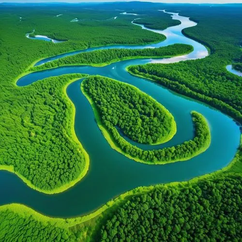 danube delta,the danube delta,river delta,tanana river,aaa,rio grande river,eastern mangroves,green trees with water,river landscape,braided river,aura river,a river,the vishera river,green water,river nile,danubedelta,everglades np,mangroves,herman national park,guyana,Photography,General,Realistic